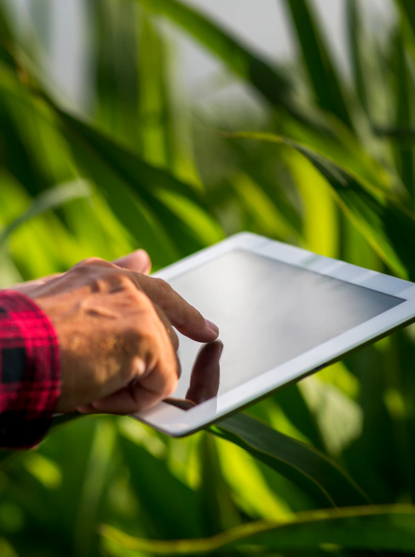 Scodeo Videosurveillance Retiers Solutions Innovantes De Video Agricole Au Theil De Bretagne Pres De Retiers 1