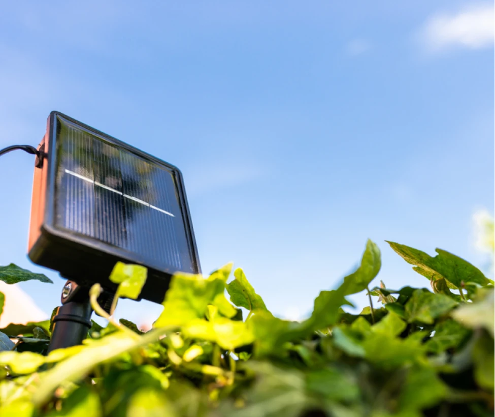 Scodeo Videosurveillance Retiers Solutions Pour Le Secteur Agricole